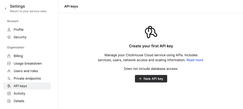 API Keys page - Zoomed
